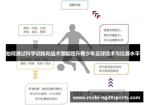 如何通过科学训练和战术理解提升青少年足球技术与比赛水平