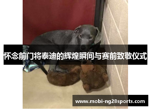 怀念前门将泰迪的辉煌瞬间与赛前致敬仪式