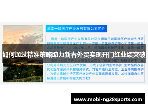 如何通过精准策略助力新春外贸实现开门红业绩突破