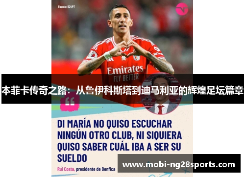 本菲卡传奇之路：从鲁伊科斯塔到迪马利亚的辉煌足坛篇章