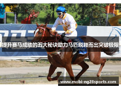 提升赛马成绩的五大秘诀助力马匹脱颖而出突破极限