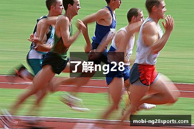 了解ng28